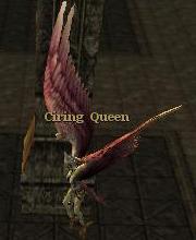 Ciring Queen